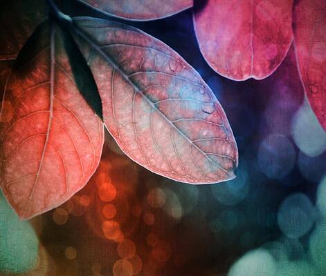 Leaves by Marianna Mills Leaves by Marianna Mills