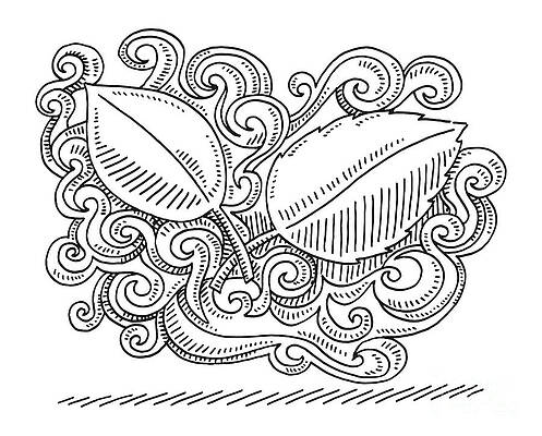 Wall Art - Drawing - Leaves Swirl Decoration Pattern Drawing by Frank Ramspott