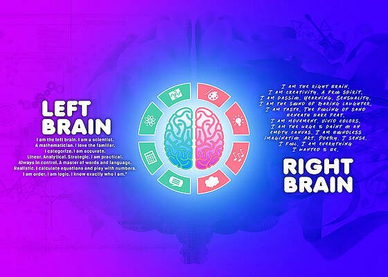 Left and Right Brain Poster by Dave Eva