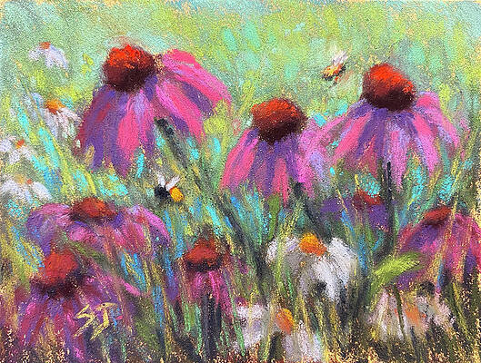 Susan Jenkins Art
