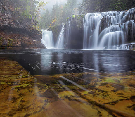 Lewis River Fog by Darren White Lewis River Fog by Darren White