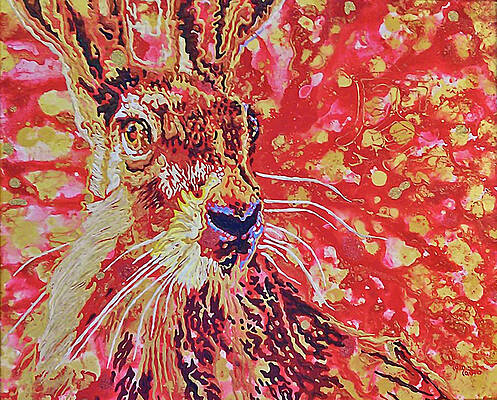 Liao Rabbit by Thom MADro Liao Rabbit by Thom MADro
