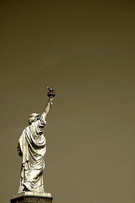 Wall Art - Photograph - Liberty by Peter Sylvester