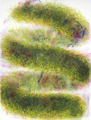 Wall Art - Painting - Life is what you make it by Petra Rau