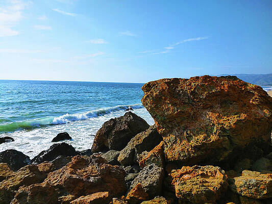 Wall Art - Photograph - Life on the Rocks by Marcus Jones