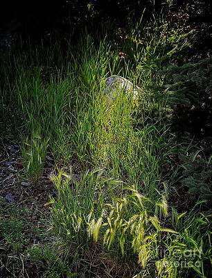 Light and Shadow by Jon Burch Photography Light and Shadow by Jon Burch Photography
