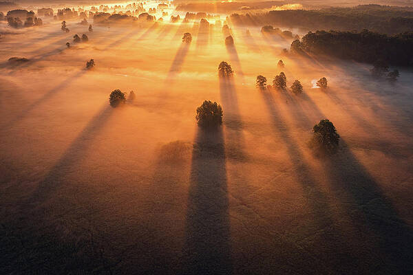 Light And Shadow by Michal Tomczak