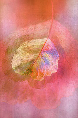 Light Leaf Loveliness by Terry Davis Light Leaf Loveliness by Terry Davis