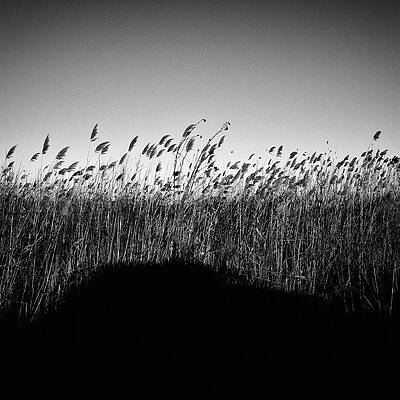 Light on earth 17 by George Vlachos Light on earth 17 by George Vlachos