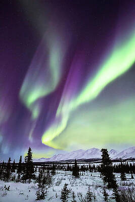 Light Show - Aurora Borealis at Alaska Range by Alex Mironyuk Light Show - Aurora Borealis at Alaska Range by Alex Mironyuk