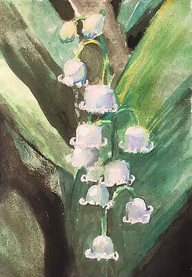 Lily of the Valley by Susan Elizabeth Jones Lily of the Valley by Susan Elizabeth Jones