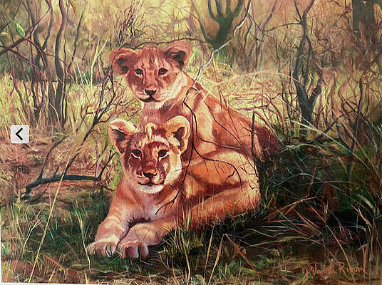 Lion Cubs by Judy Rixom Lion Cubs by Judy Rixom