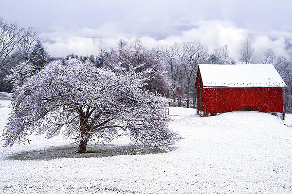 Wall Art - Photograph - Little Red Barn in the snow storm by Dave Sandt