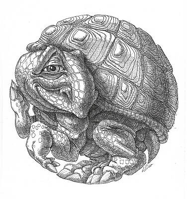 Little round turtle by Victor Molev Little round turtle by Victor Molev
