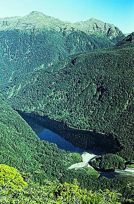 Loch Maree, Fiordland, New Zea by Steven Ralser Loch Maree, Fiordland, New Zea by Steven Ralser