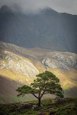 Wall Art - Photograph - Loch Maree, Northwest Highlands Of Scotland, UK by Sarah Howard