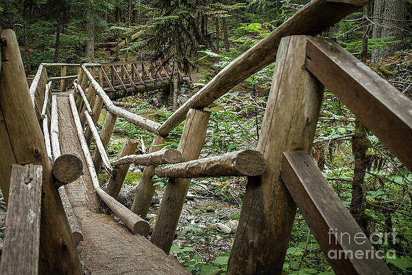 Wall Art - Photograph - Log Bridge Over Deception Creek by Cindy Shebley