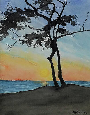 Wall Art - Photograph - Lone Tree Carpinteria by M Carlen