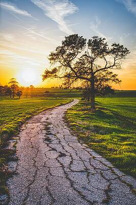 Lone Tree Road by Mati Krimerman Lone Tree Road by Mati Krimerman