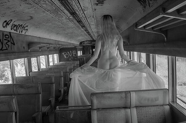 Lonely Train Ride by Alan Goldberg Lonely Train Ride by Alan Goldberg