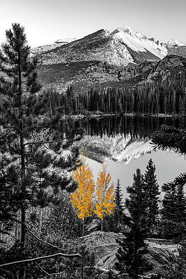 Wall Art - Photograph - Longs Peak Mountain Reflection With An Aspen Tree Color Splash by Gregory Ballos