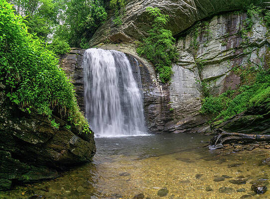 Looking Glass Falls by David R Robinson Looking Glass Falls by David R Robinson