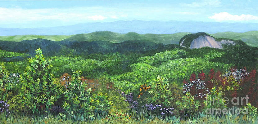 Looking Glass Rock by Anne Marie Brown Looking Glass Rock by Anne Marie Brown