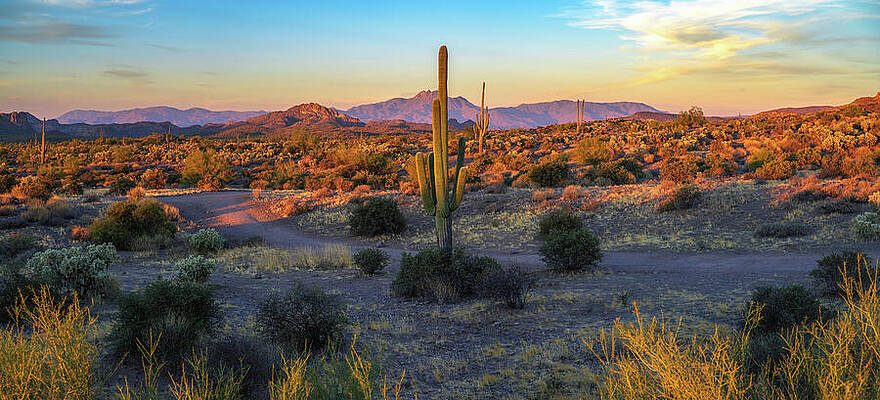 Wall Art - Photograph - Lost Dutchman State Park in Arizona at sunset by Miroslav Liska