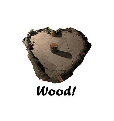 Love Wood by Michael Trampas