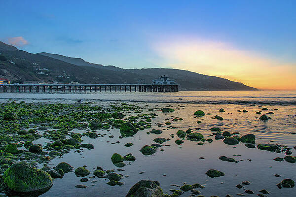 Wall Art - Photograph - Low Tide at Malibu Pier by Matthew DeGrushe