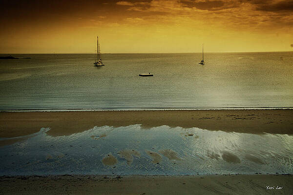 Low Tide by Yuri Lev Low Tide by Yuri Lev