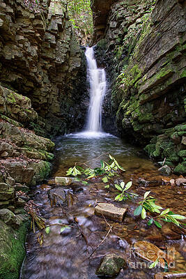 Lower Bailey Falls 3 by Phil Perkins Lower Bailey Falls 3 by Phil Perkins
