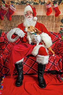 Lucy with Santa 1 by Christopher Holmes Lucy with Santa 1 by Christopher Holmes