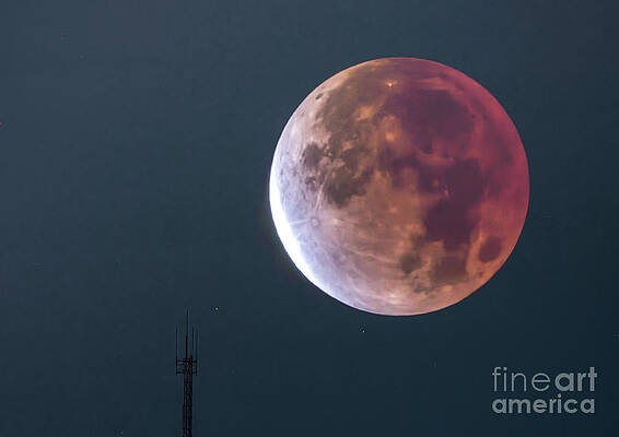 Lunar Eclipse by Charline Xia Lunar Eclipse by Charline Xia