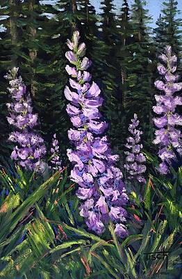 Lupine Forest by Lee Tisch Bialczak Lupine Forest by Lee Tisch Bialczak