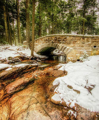 Made Of Stone by Susan Garver Made Of Stone by Susan Garver