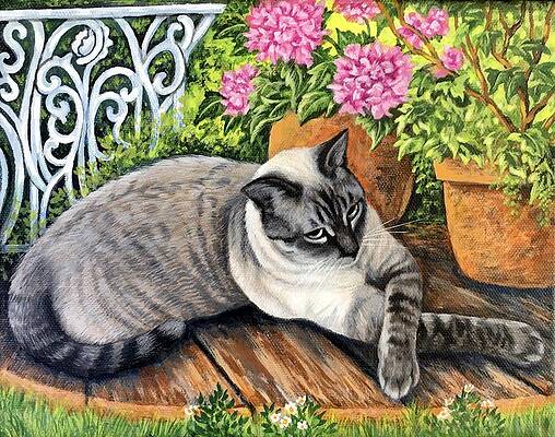 Maggie My Pretty Siamese Cat by Glenda Stevens Maggie My Pretty Siamese Cat by Glenda Stevens