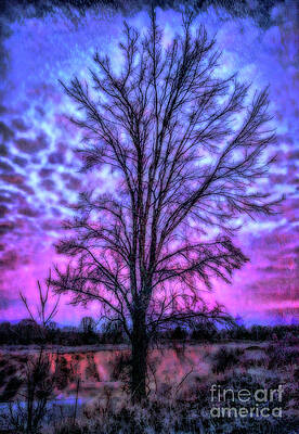 magic tree by AnnMarie Parson-McNamara magic tree by AnnMarie Parson-McNamara