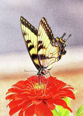 Magical Butterfly by Ola Allen Magical Butterfly by Ola Allen