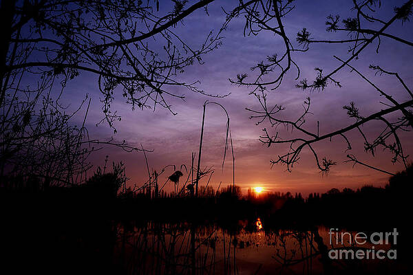 Magical sunset by Stefano Sturaro