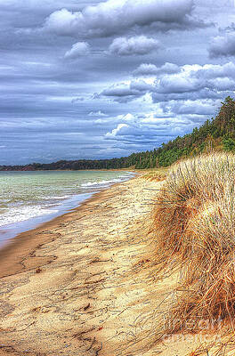 Magoon Creek Beach by Randy Pollard Magoon Creek Beach by Randy Pollard