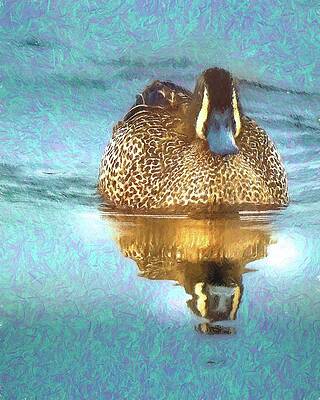 Male Blue-winged Teal by Susan Rydberg Male Blue-winged Teal by Susan Rydberg
