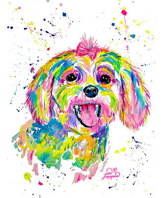 Maltese or Bichon Frise painting by Jan Marvin Maltese or Bichon Frise painting by Jan Marvin