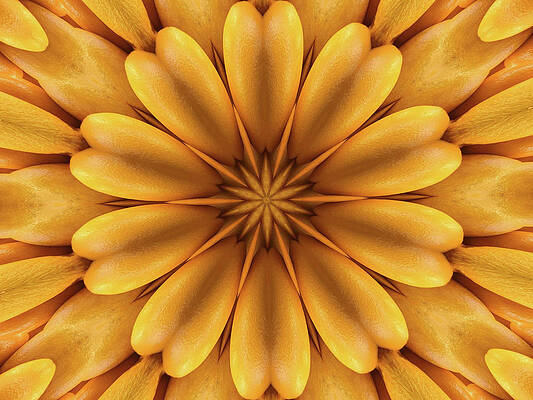 Mandala orange --- bob-mcdonnell.pixels.com by Bob McDonnell Mandala orange --- bob-mcdonnell.pixels.com by Bob McDonnell