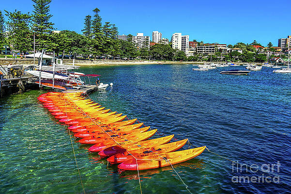 Manly Harbour Kayaks by David Meznarich Manly Harbour Kayaks by David Meznarich