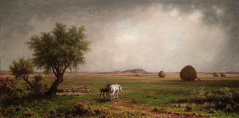 Mare and Colt in a Marsh by Martin Johnson Heade Mare and Colt in a Marsh by Martin Johnson Heade