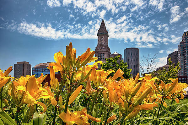Marriott Custom House Tower - Boston by Joann Vitali Marriott Custom House Tower - Boston by Joann Vitali