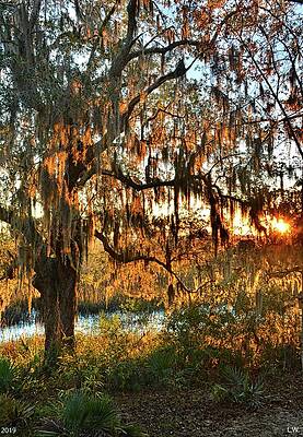 Wall Art - Photograph - Marsh Sunrise Vertical by Lisa Wooten