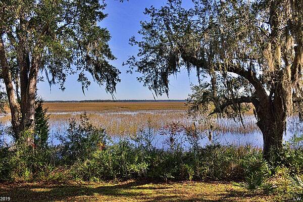 Marsh Views Beaufort South Carolina by Lisa Wooten Marsh Views Beaufort South Carolina by Lisa Wooten