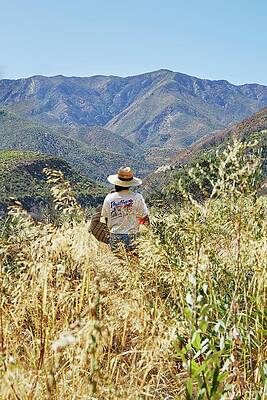 Wall Art - Photograph - Matilija Creek Trail by Alex Lau